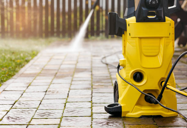Best Fence Cleaning  in Winthrop, MN